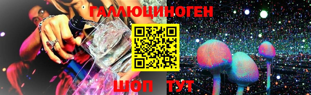 купить закладку  Псилоцибиновые грибы прущие грибы  Вход с VPN  Губкинский 