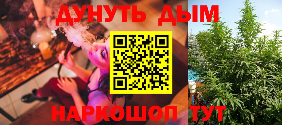 Губкинский  Бошки Шишки планчик  Вход с VPN  Бошки марихуана план 